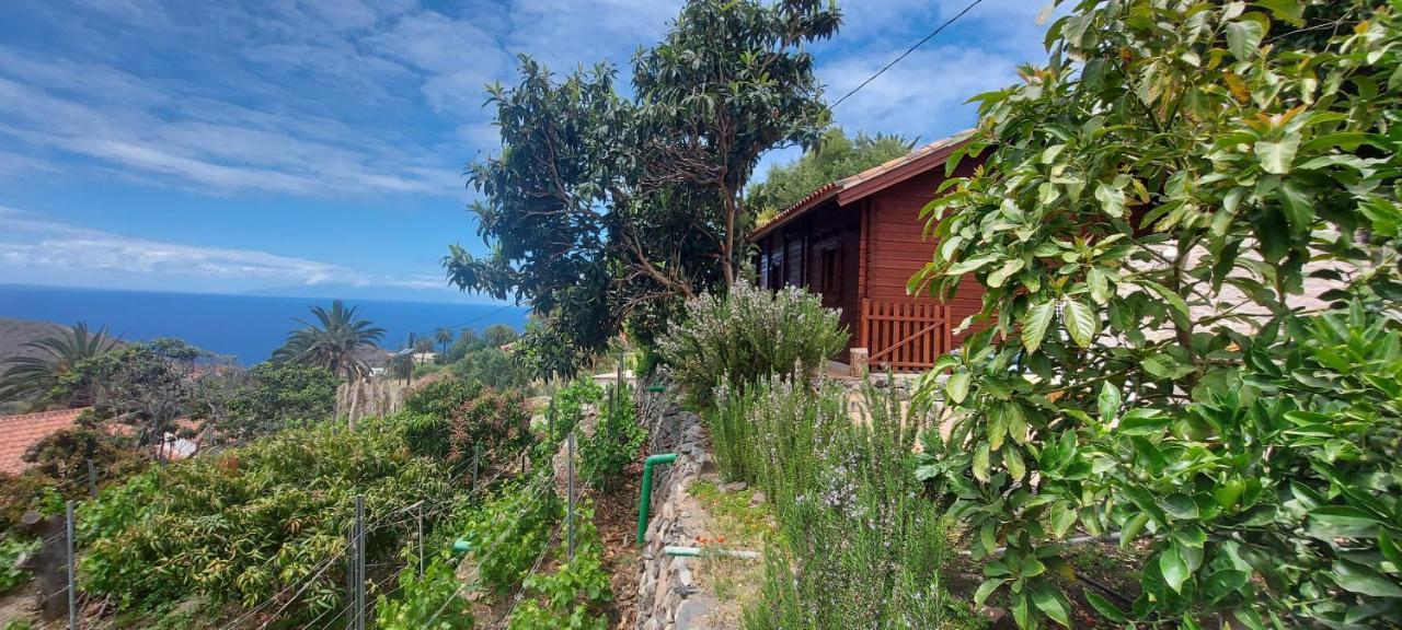 Alojera Cabana Los Palmeros, Vista Al Mar Y La Montana מראה חיצוני תמונה